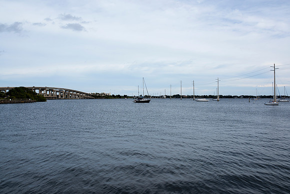 DSC_0513