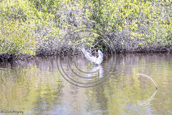 DSC_3291