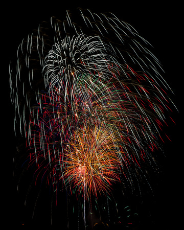 DSC_0233