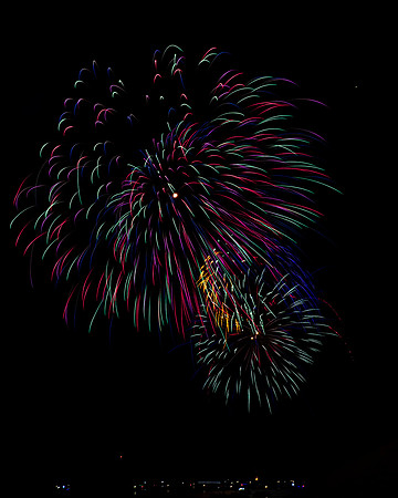 DSC_0229