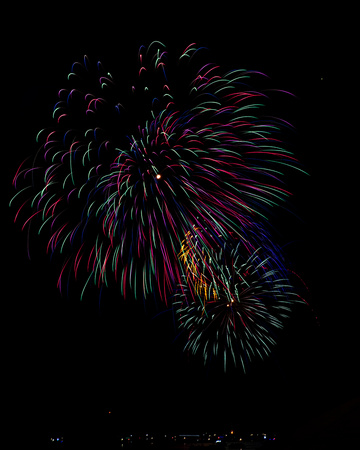 DSC_0229