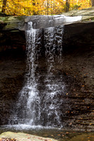DSC_3392