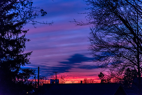 DSC_0332
