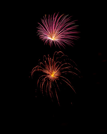 DSC_0204