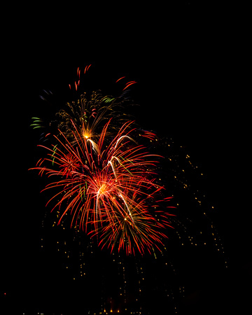 DSC_0231