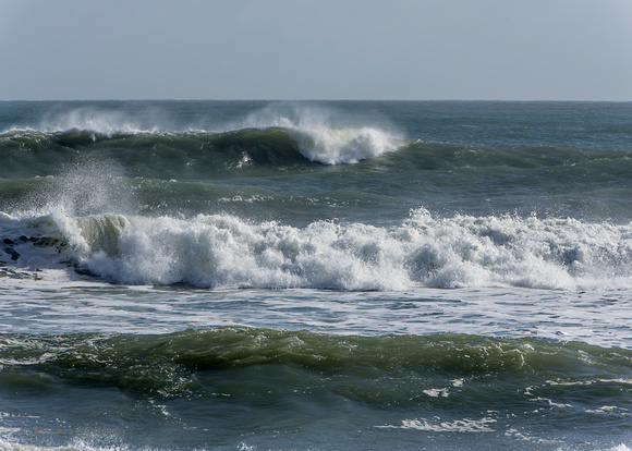 DSC_1050