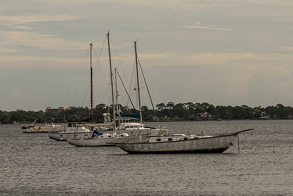 DSC_9651