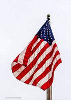 Flag 2018
