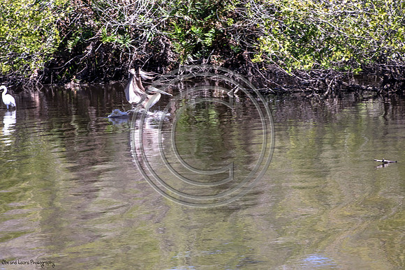 DSC_3311