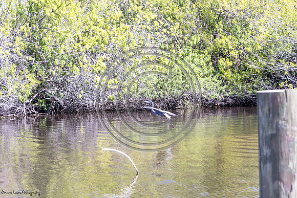 DSC_3286