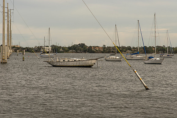 DSC_9659
