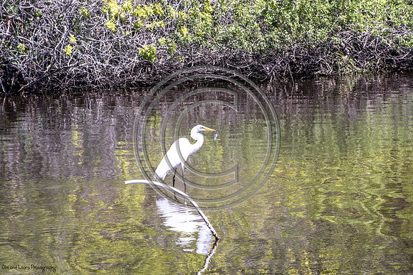 DSC_3322