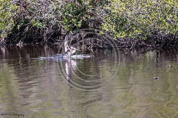 DSC_3312